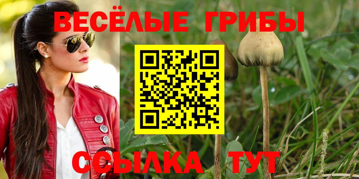 Псилоцибиновые грибы Psilocybine cubensis  Вход с VPN  Арсеньев 