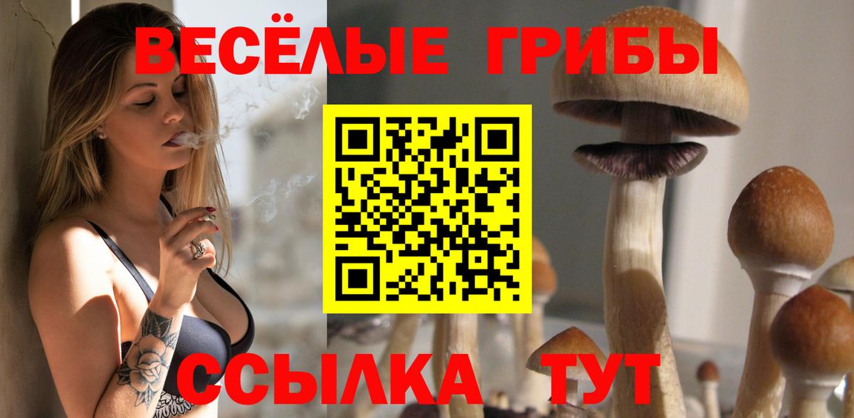 Псилоцибиновые грибы прущие грибы Арсеньев